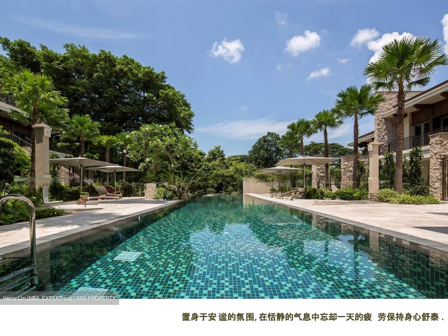Bishopsgate Residences (D10), Condominium #542304671